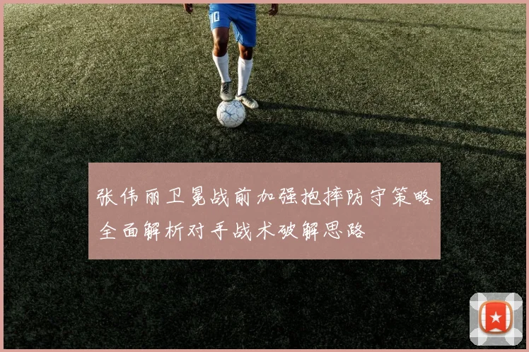 张伟丽卫冕战前加强抱摔防守策略全面解析对手战术破解思路